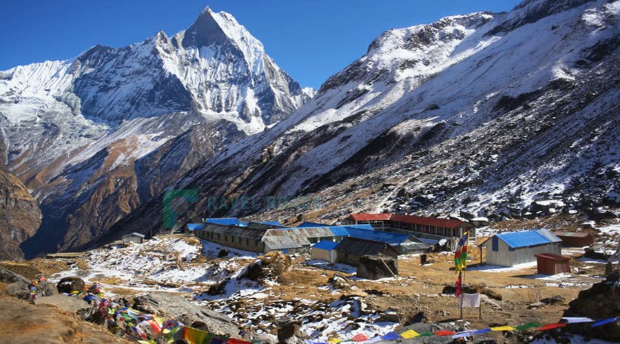 Ghorepani Poonhill Trekking